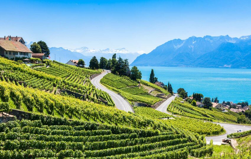 Lavaux driving tour supercar tour