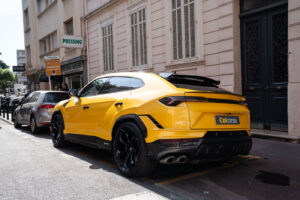 Gallery Thumbnail 2